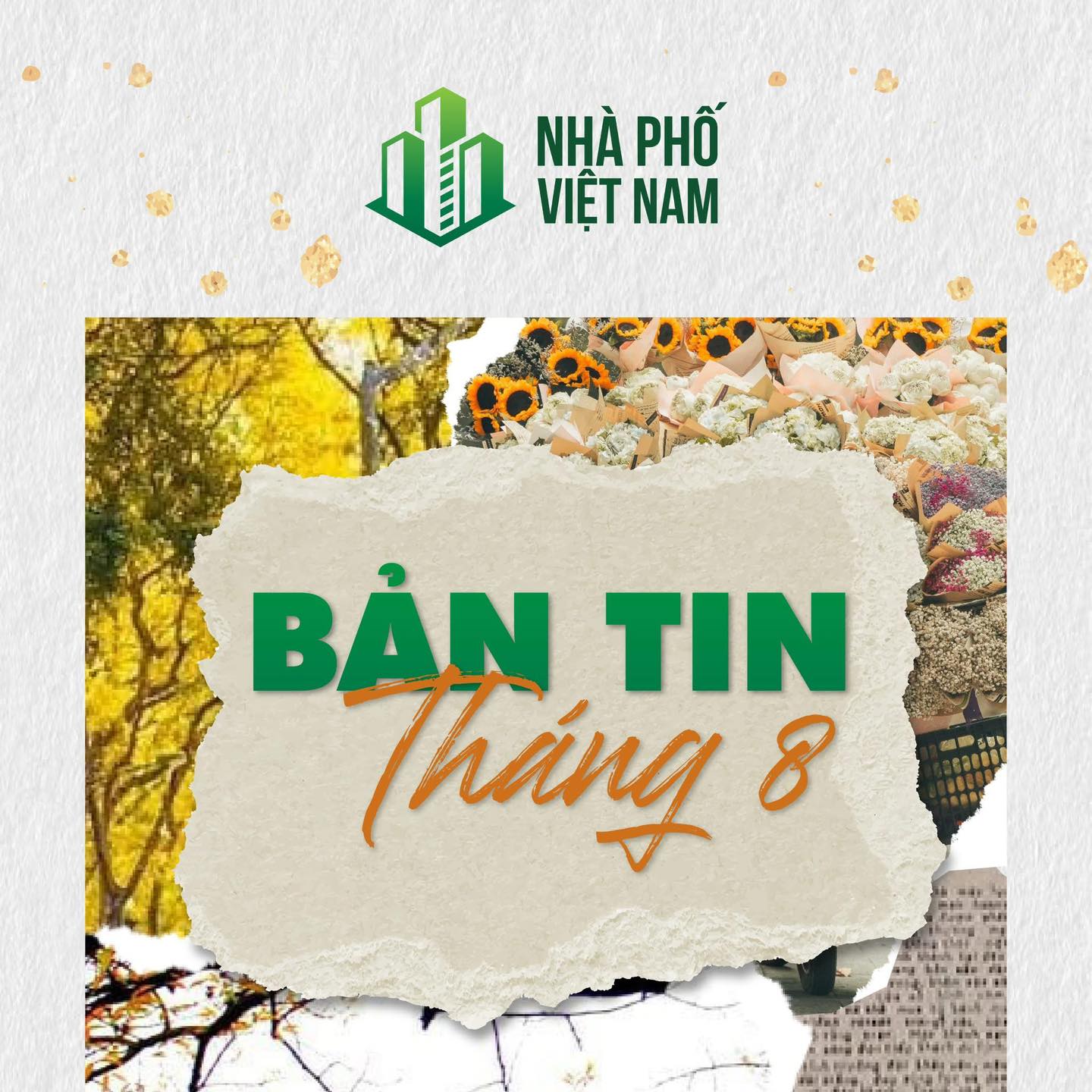 💥 BẢN TIN THÁNG 8/2025 💥